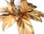 Hollywood Regency Florentine Flower-Shaped Gilt Flush Mount from Hans Kögl, Italy, 1960s For Sale - Image 11 of 18