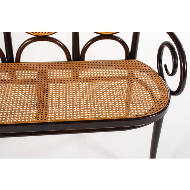 Bentwood & Cane Model 207 Bench by Michael Thonet for Thonet, 1980s For Sale - Image 9 of 11