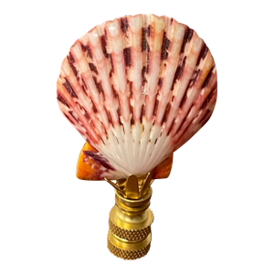 Vintage Lamp Finial Sea Shell on Brass