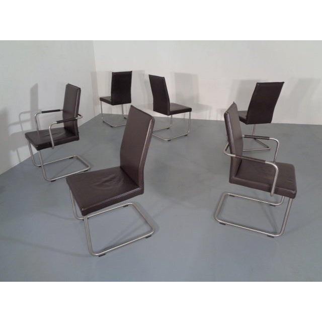 Animal Skin Leather Cantilever Dining Chairs by Karl Friedrich Förster for KFF, 1990s, Set of 6 For Sale - Image 7 of 18