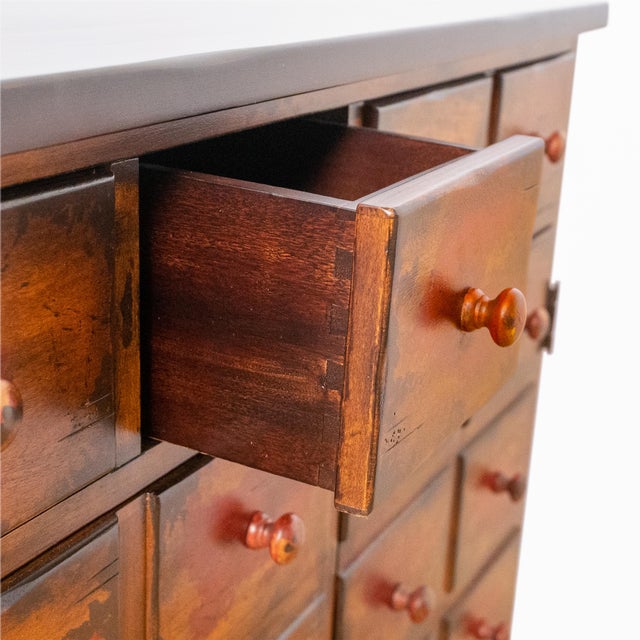 Early 20th Century Apothecary-Style Cabinet With Faux Drawer Fronts & Interior Shelving For Sale - Image 14 of 14