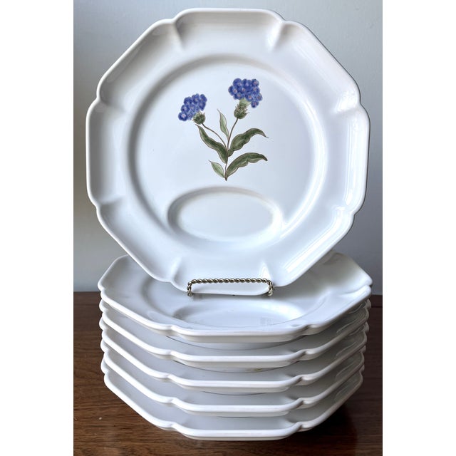 Motton Gien French Faience Asparagus Plates-Set 6 For Sale - Image 14 of 14
