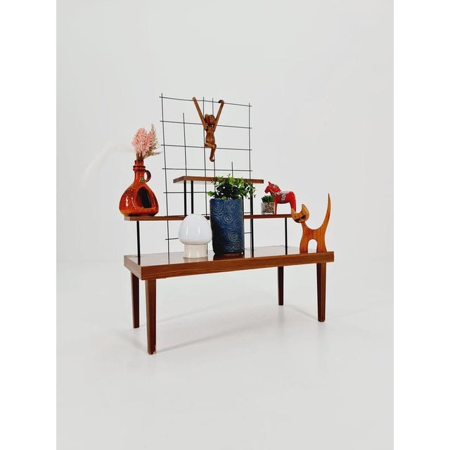 Contemporary Large Mid-Century German Minimalist Plant Stand, 1950s For Sale - Image 3 of 11