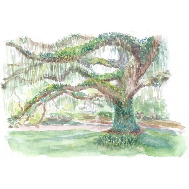 Original Watercolor Painting of "an Oak Tree & Spanish Moss" Chairish