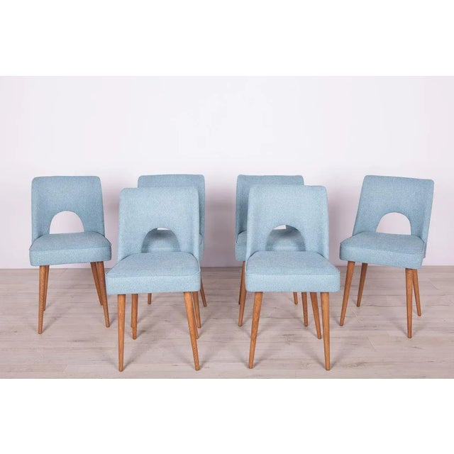 1960s Polish Shell Chairs from Bydgoszcz Furniture Factory, 1960s, Set of 6 For Sale - Image 5 of 17