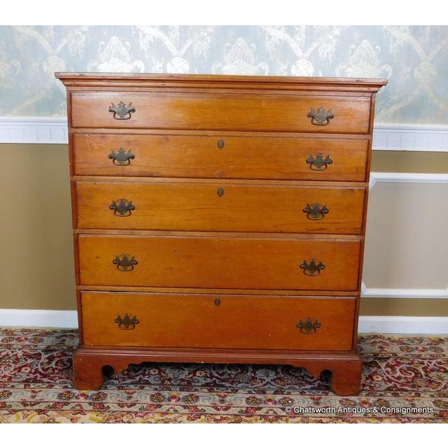 Antique Early 19th Century Primitive Pine Chippendale 5 Drawer