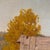 Orange "In the Berkshires", an Oil Painting by Jane Bostwick For Sale - Image 8 of 12