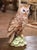 Charming and expressive, this antique Italian ceramic sculpture captures the alert presence of an owl in striking detail....
