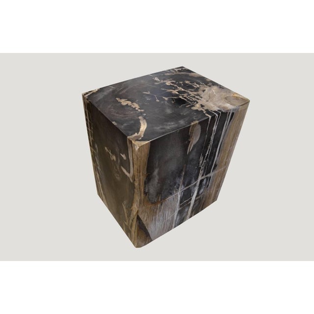 Gray Andrianna Shamaris Petrified Wood Side Table For Sale - Image 8 of 18