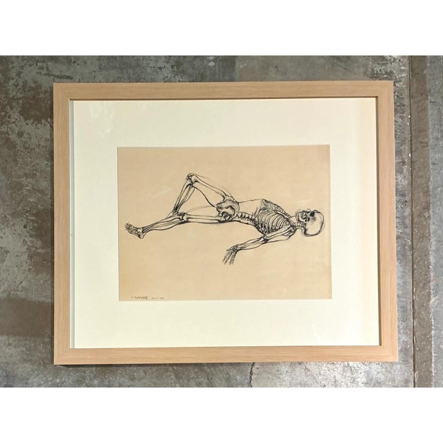 Vintage Framed Reclining Skeleton Study on Paper For Sale - Image 4 of 12