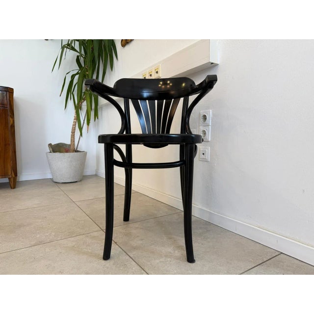 Wood Bentwood Amelie Armchair by Interio For Sale - Image 7 of 9