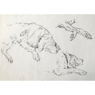 Contemporary Graphite Drawing on Paper by Melissa Bland For Sale