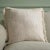 Lurenz Pillow - Ivory - 20" x 20" For Sale - Image 4 of 4