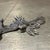 Vintage 1986 Ral Partha Pewter 2-Headed Guardian Dragon Miniature For Sale - Image 12 of 16