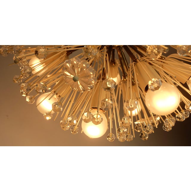 Gold Mid-Century Dandelion Chandelier in Brass and Glass, 1950s For Sale - Image 8 of 11