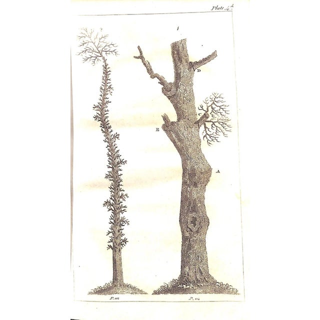 "The Forest Pruner: Or, Timber Owner's Assistant" 1808 Pontey, William For Sale - Image 4 of 8