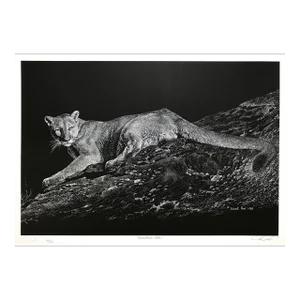 1980s Robert Pow Mountain Lion Print