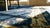 Antique Chinese Peking Rug. For Sale - Image 14 of 14
