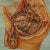 Vintage Male Pelvic Organs Medical Poster Pull Down Wall Chart For Sale - Image 3 of 7