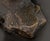 Illegibly Signed Family Embrace Bronze Sculpture For Sale - Image 9 of 9