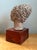 Vintage Plaster Head Sculpture on Wood Base For Sale In West Palm - Image 6 of 12