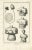 Diderot, Medical Print Pl. XXVIII, 1760, Print For Sale