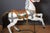 German Artist, Carving Carousel Horse, 1900, Wood For Sale - Image 8 of 17