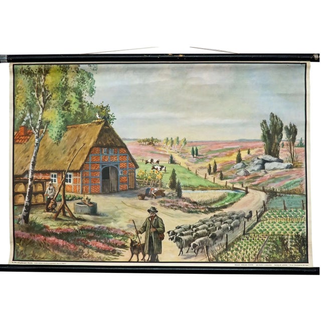 Lueneburg Heathlands Wall Chart Poster from Tellus For Sale - Image 6 of 6