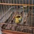 Wood Antique Rosewood Birdcage With Gemstone Inlay and Porcelain Feeders For Sale - Image 7 of 9