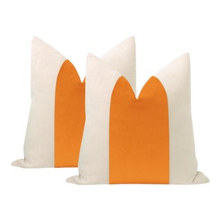 22" Clementine Velvet Panel + Linen Pillows - a Pair For Sale