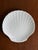 Contemporary Scallop Shell Shaped White Ceramic Plates— Set of Four For Sale - Image 10 of 18