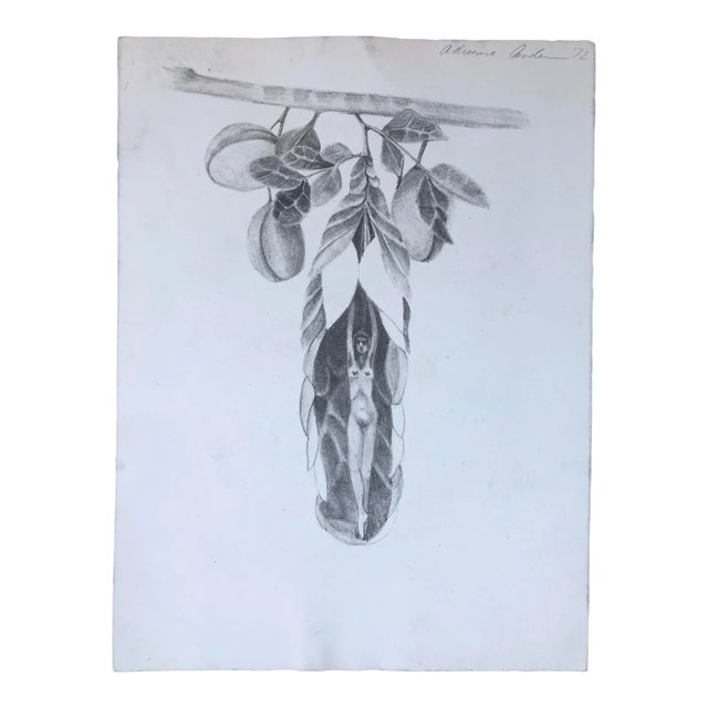 1972 Adrienne Anderson Female Nude Lithograph For Sale