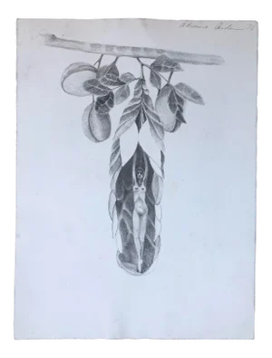 1972 Adrienne Anderson Female Nude Lithograph