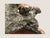 Wood Vintage Burl Root Wood Abstract Sculpture Live Edge Base Organic Modern 17" For Sale - Image 7 of 15
