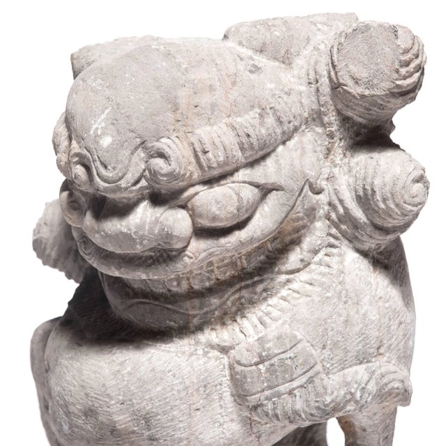 19th Century Chinese Stone Fu Lion Guardians - A Pair For Sale - Image 10 of 11