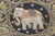 Vintage Embroidered Burmese Thai Elephant decor Kalaga Wall Tapestry Traditional wall hanging Asian art Gold thread,...