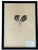 French Provincial 1965 French Herbarium Botanical Specimens – Set of 9 Custom Framed Pressed Botanicals For Sale - Image 3 of 17