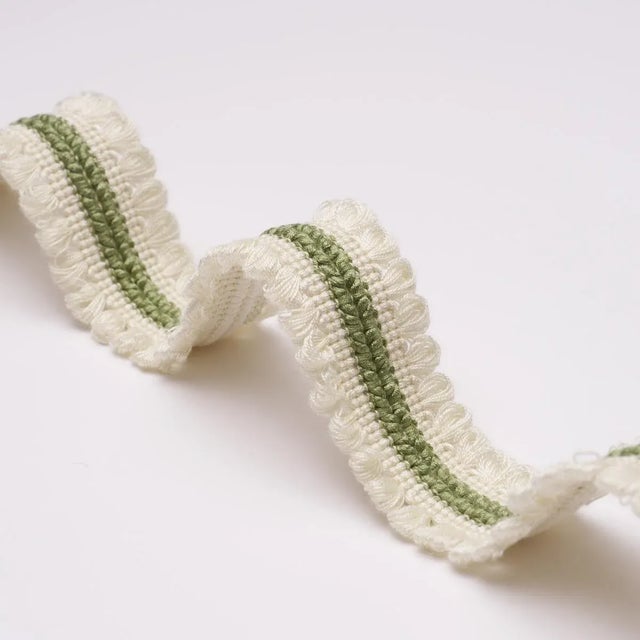 Contemporary SAMPLE - Schumacher Miriam Trim In Leaf For Sale - Image 3 of 3