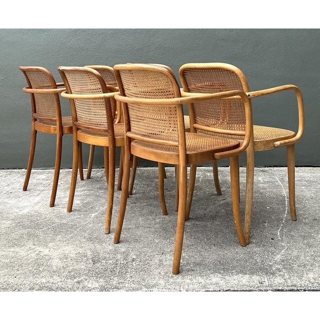 Vintage Stendig Bent Wood Cane Dining Chairs - Set of 6 For Sale - Image 9 of 16