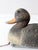 Plastic Vintage 1970s Victor Mallard Hen Duck Decoy With Weight For Sale - Image 7 of 14