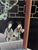 1960s Asian Coromandel-Style Black Lacquer Double-Sided Four-Panel Folding Screen For Sale - Image 4 of 17