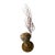 Sea Fan Shell Art on Italian Gold Gilt Base For Sale