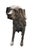 This striking life-size garden statue depicts a seated hound, captured in a moment of quiet alertness. Cast in heavy iron,...