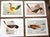Abstract Vintage Charley Harper Modernist Abstracted Bird Lithographs (7.6" X 6.3") - Set of 9 For Sale - Image 3 of 11