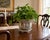 This is an exquisite Rose Medallion large cachepot jardinière. This planter is a great size, beautifully cheery, and can...