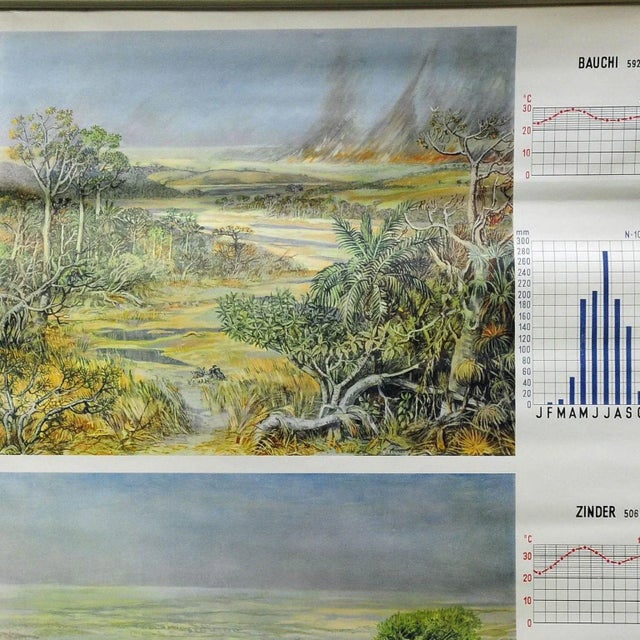 Vintage Cottage Core Africa Savanna Landscape Weather Seasons Rollable Wall Chart For Sale - Image 3 of 6