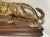 Large 1800's Antique Hand Carved Wood Japanese Tiger Meiji Sculpture Statue Art For Sale - Image 13 of 16