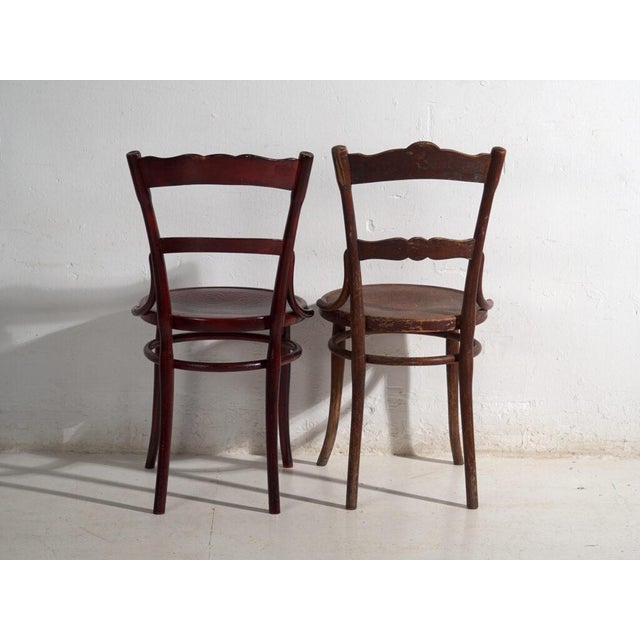 Antique Bentwood Chairs, Central Europe, 1900s, Set of 4 For Sale - Image 12 of 14
