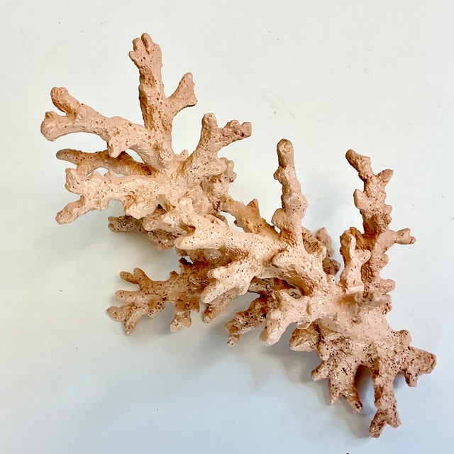 Mid-Century Coastal Boho Chic Faux Ocean Branch Coral Decorative Object For Sale - Image 9 of 12