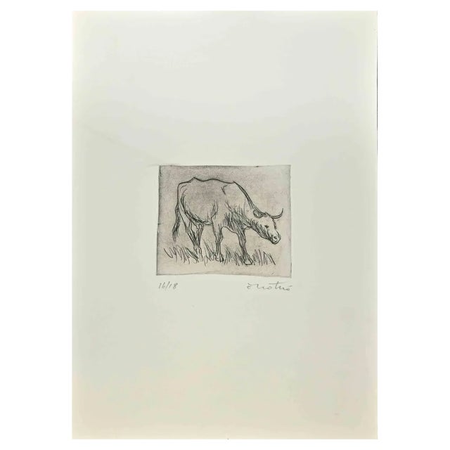 Enotrio Pugliese, Bull, 1963, Etching For Sale